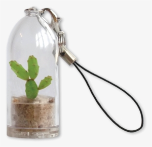 Cactus Keyrings Eco-friendly Sustainable Promo Products - Feel Green Plantochi - Spike
