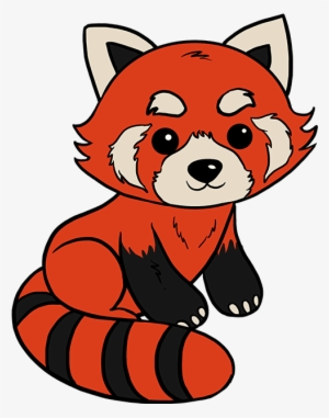 How To Draw Red Panda - Red Panda Drawing Easy Step By Step