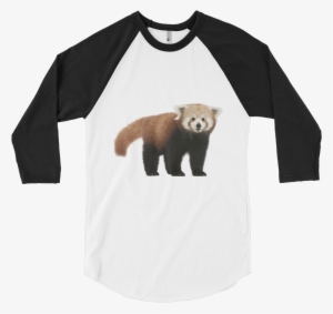 Red-panda Print 3/4 Sleeve Raglan Shirt - Funny Pictures For T Shirts