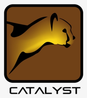 Catalyst Version