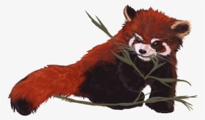 Red Panda Love Tank Top - Love Mousepad