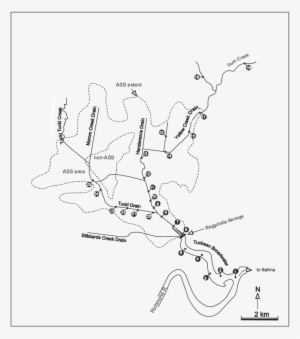 Sampling Locations In The Tuckean Swamp - Line Art