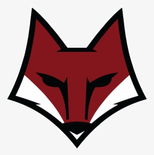 Ashley Ridge Swamp Foxes