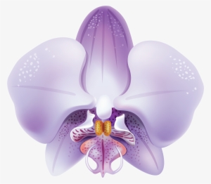 Violet Orchid Png - Orchid Clipart