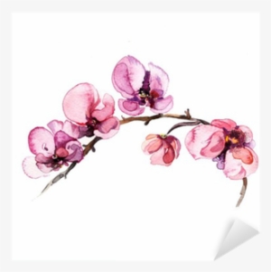 The Watercolor Flowers Orchid Isolated On The White