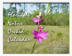 Finally, We Have Our Second Ever Calendar Release, - Native Florida Orchids