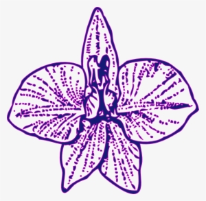 How To Set Use Blue Orchid Svg Vector