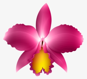 Pink Orchid Transparent Png Clip Art Image - Orchid Clip Art