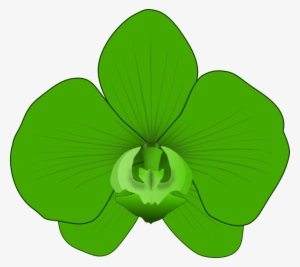 How To Set Use Green Orchid Clipart