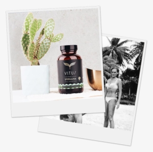 Poloro#nutrition-retro