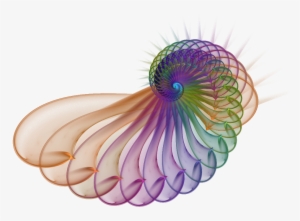 Fractal Png Image With Transparent Background - Transparent Fractal Png