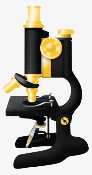 Imagej