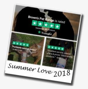 Come Back Spring - Flyer