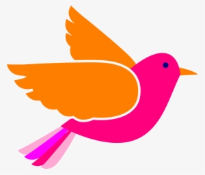 Bird Face Clip Art Pink Birds Png - Clip Art Bird Png