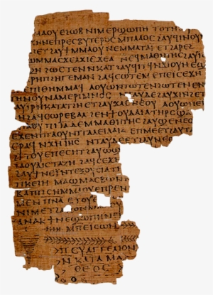 Near Shallow Lakes And Rivers Grew A Tall Reed Called - Ancient Egypt Papyrus Png