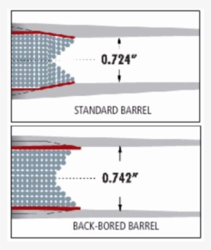 Back Bored - Back Bored Shotgun