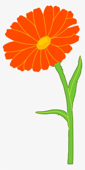 English Marigold Mexican Marigold Annual Plant Flower - Marigold Clipart