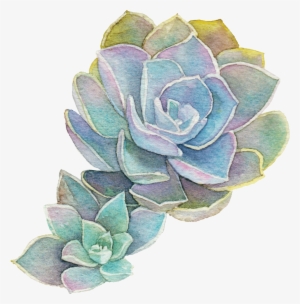 Natural Support For All Your Pregnancy Needs - Succulent Plant