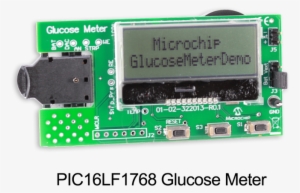 Pic16lf1786 Glucose Meter - Endothelial Nos Band On Western