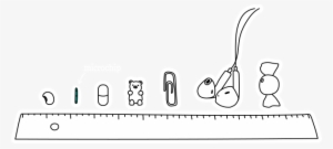 Your Pet's Permanent Id What Is A Microchip