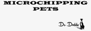 The Debates Swirling Around Microchipping Of Animals - Cathedral Of Syracuse
