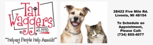 How Microchipping Works - Cat And Dog Buddies [book]