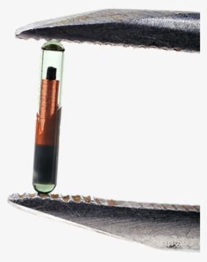 At Animal Hospital Of The Woodlands We Know How Much - Umbrella