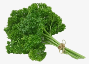 Parsley - Parsley Png