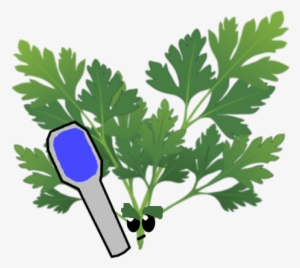 Bubble Parsley - Salsa Salvia Alecrim E Tomilho