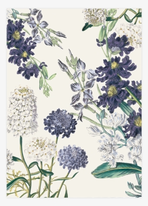 Savethedate Botanical Garden Pepperandjoy Pattern - Posterazzi Botanical Garden I Canvas Art - Piper Ballantyne
