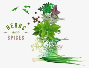 Herb Spice Vegetable - Png Herbs And Spices Free Hd