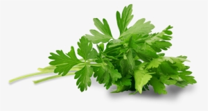 Goodness From The Vegetable Garden