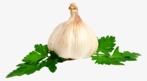 Garlic Png Image - Garlic .png