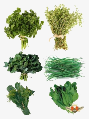 Herbs Png Photos - Herbs .png