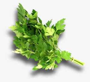 Parsley Png Download