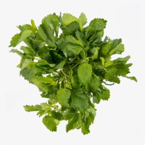 Lemon Balm - Parsley