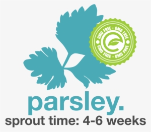 Parsley - Junior Chamber International