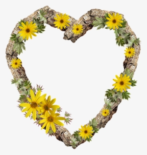 Frame, Border, Rustic, Heart, Daisy, Flower - Heart