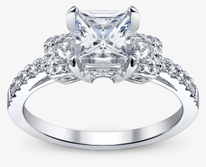 Platinum Princess Cut Engagement Ring From Robbins - Cushion Set Engagement Rings
