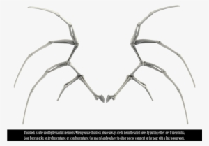 Drawn Bones Wing - Skeleton