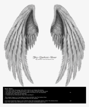 Realistic Angel Wings Side View Download - Folded Wings