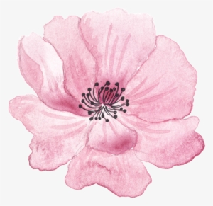 Pink Hand Painted Flowers Halloween Transparent Decorative - Headband