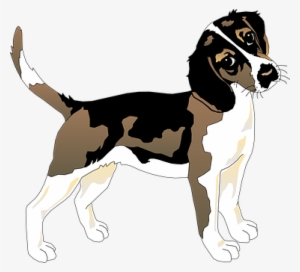 Black White Dog Beagle Pet Animal Mammal F - Beagle Dog T Shirt