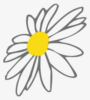 Daisy Flower Png