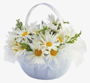 Basket Transparent Daisy - Feliz Dia De Las Madres Proverbios