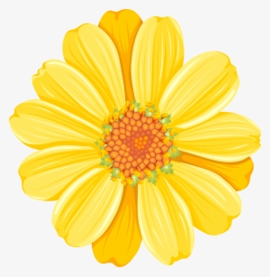 Daisy Flower Png