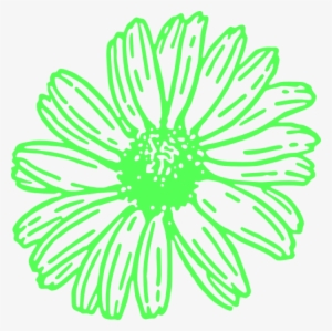 Daisy, Flower,