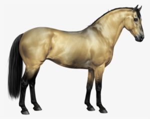 Amber Ivory Champagne Horse