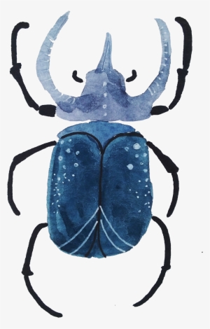 With Both Watercolors And Gouache - Dung Beetle