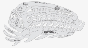 Artool Biomech Fx Template